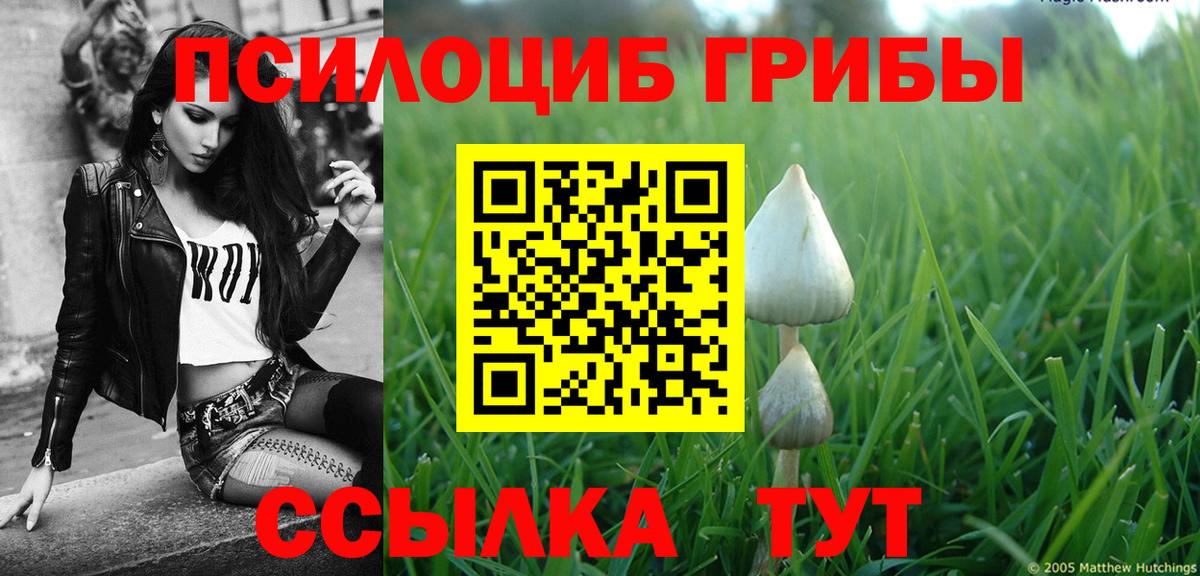 даркнет сайт  Вход с VPN  Арзамас  Галлюциногенные грибы мицелий 